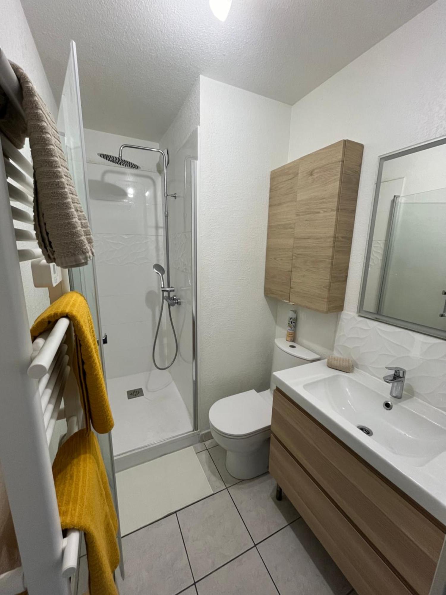 Joli T2/ Tram/ Clim/ Parking/ Wifi/ Piscine Apartamento Montpellier Exterior foto